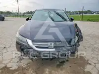2014 Honda Accord фото