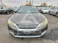 2014 Honda Accord фото