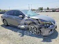 2014 Honda Accord photo
