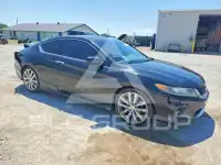 2014 Honda Accord photo