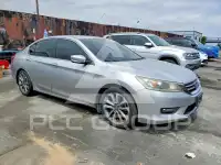 2014 Honda Accord photo