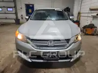 2014 Honda Accord фото