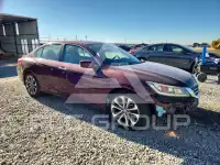 2014 Honda Accord photo