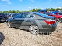2014 Honda Accord фото