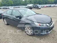 2014 Honda Accord photo