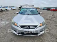 2014 Honda Accord photo