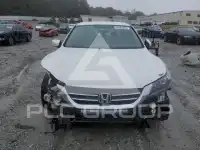 2014 Honda Accord photo