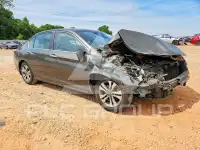 2014 Honda Accord фото