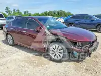 2014 Honda Accord photo
