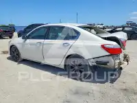 2014 Honda Accord фото