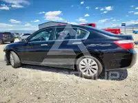 2014 Honda Accord фото