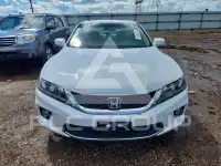 2014 Honda Accord photo