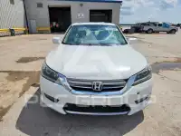 2014 Honda Accord photo