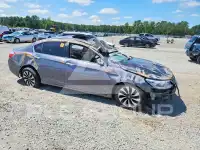 2014 Honda Accord фото