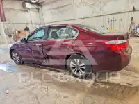 2014 Honda Accord фото