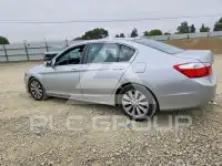 2014 Honda Accord photo