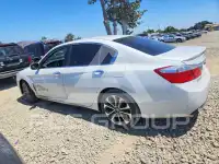 2014 Honda Accord photo