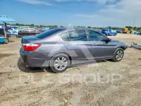 2014 Honda Accord photo