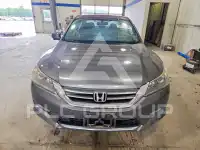 2014 Honda Accord photo