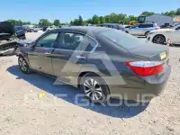 2014 Honda Accord photo