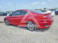 2014 Honda Accord photo