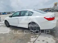 2014 Honda Accord фото