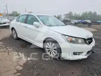2014 Honda Accord photo