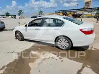 2014 Honda Accord photo