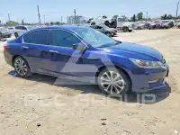 2014 Honda Accord photo