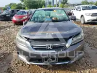 2014 Honda Accord photo