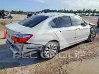 2014 Honda Accord photo