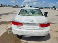 2014 Honda Accord photo