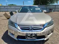 2014 Honda Accord фото
