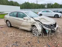 2014 Honda Accord photo