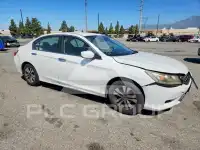 2014 Honda Accord photo