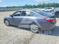 2014 Honda Accord photo