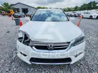 2014 Honda Accord photo
