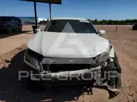 2014 Honda Accord фото