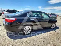 2014 Honda Accord фото