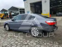 2014 Honda Accord photo