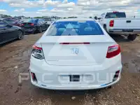 2014 Honda Accord photo