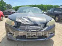 2014 Honda Accord photo