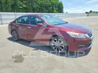 2014 Honda Accord фото