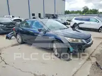 2014 Honda Accord photo