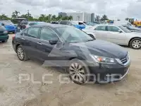 2014 Honda Accord photo