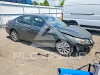 2014 Honda Accord photo