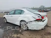 2014 Honda Accord photo
