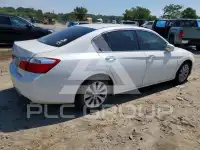 2014 Honda Accord photo