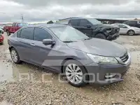 2014 Honda Accord photo