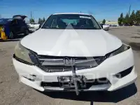 2014 Honda Accord photo